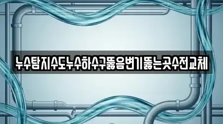 누수탐지수도누수하수구뚫음변기뚫는곳수전교체