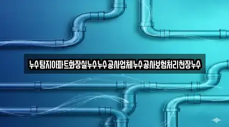 누수탐지아파트화장실누수누수공사업체누수공사보험처리천장누수