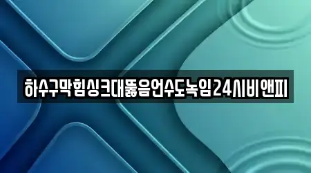 하수구막힘싱크대뚫음언수도녹임24시비앤피