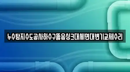 누수탐지수도공사하수구뚫음싱크대세면대변기교체수리