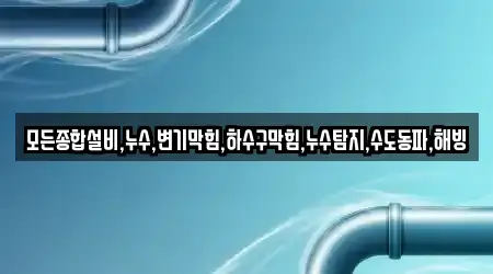 모든종합설비,누수,변기막힘,하수구막힘,누수탐지,수도동파,해빙