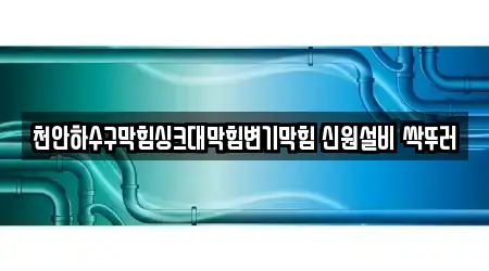 4 숨은 하수구 막힘 충남 천안 서북구 쌍용동 정보
