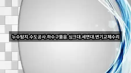 누수탐지.수도공사.하수구뚫음.싱크대.세면대.변기교체수리