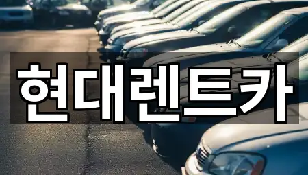 전북특별자치도 군산 사정동 렌트카 별점 높은 5곳