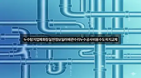 누수탐지업체화장실천정보일러배관수리누수공사비용수도꼭지교체