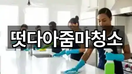 떳다아줌마청소