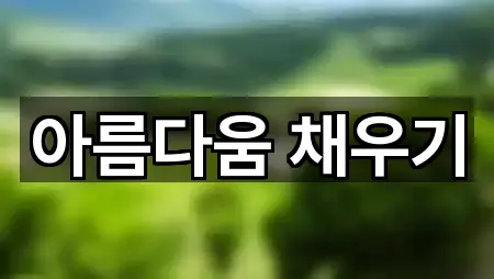 아름다움 채우기