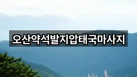 오산약석발지압태국마사지