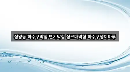 정왕동 하수구막힘 변기막힘 싱크대막힘 하수구쟁이마루