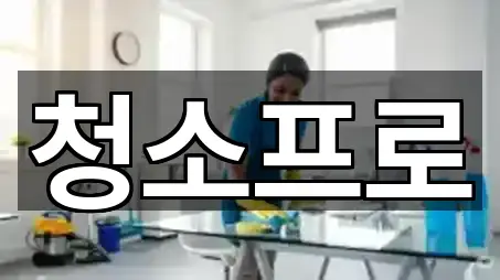 청소프로