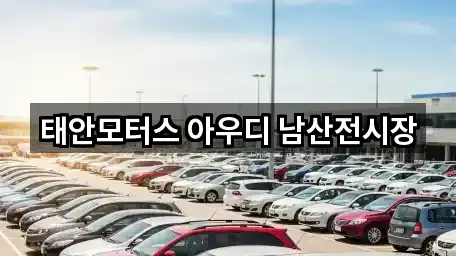 서울특별시 중구 쌍림동 자동차전시장 2곳 주소 열람