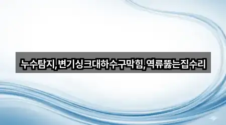 누수탐지,변기싱크대하수구막힘,역류뚫는집수리