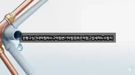 은평구싱크대막힘하수구막힘변기막힘정화조막힘고압세척누수탐지