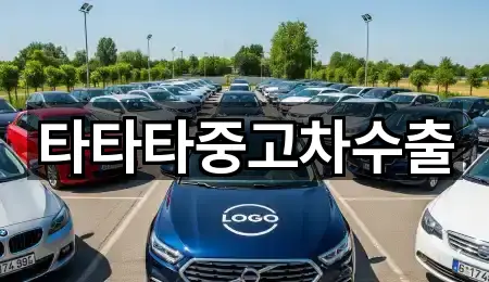 타타타중고차수출