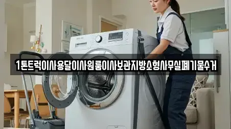 1톤트럭이사용달이사원룸이사보관지방소형사무실폐기물수거