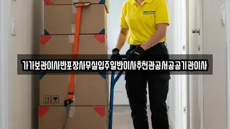 가가보관이사반포장사무실입주일반이사추천관공서공공기관이사