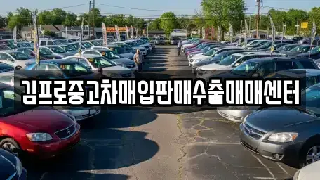 강원특별자치도 고성군 간성읍 중고차 전문 김프로중고차매입판매수출매매센터
