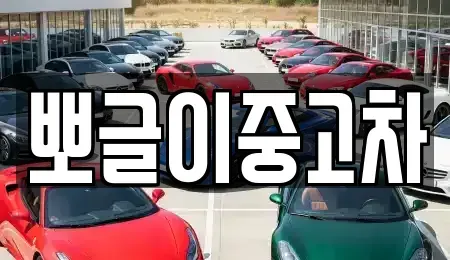 강원특별자치도 고성군 간성읍 중고차 전문 뽀글이중고차