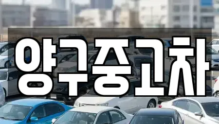 강원특별자치도 양구군 국토정중앙면 중고차 전문 양구중고차