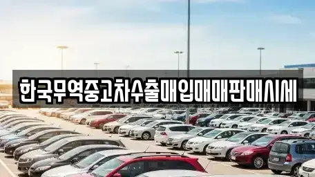 강원특별자치도 양구군 국토정중앙면 중고차 전문 한국무역중고차수출매입매매판매시세