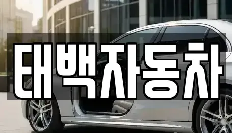 강원특별자치도 태백시 백산동 중고차 전문 태백자동차