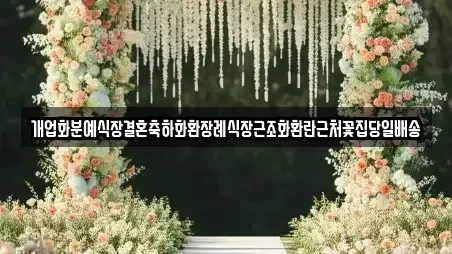 개업화분예식장결혼축하화환장례식장근조화환란근처꽃집당일배송