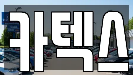 경기 고양시 일산서구 대화동 장기렌트카 전문 카텍스