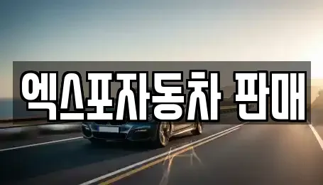 경기 고양시 일산서구 대화동 중고차 전문 엑스포자동차 판매