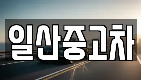 경기 고양시 일산서구 대화동 중고차 전문 일산중고차