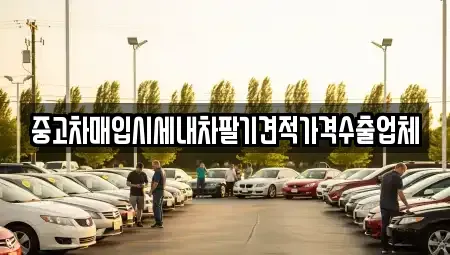 경기 고양시 일산서구 대화동 중고차매입 전문 중고차매입시세내차팔기견적가격수출업체