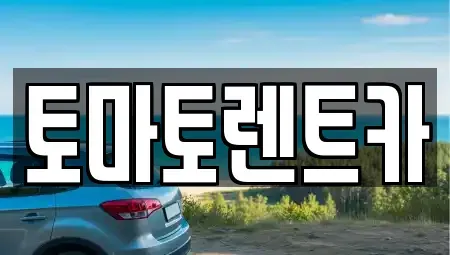 경기 광주시 남한산성면 렌트카 전문 토마토렌트카