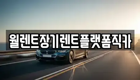 경기 광주시 남한산성면 장기렌트카 전문 월렌트장기렌트플랫폼직카