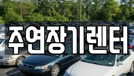 경기 광주시 남한산성면 장기렌트카,중고차,렌트카,단기렌트카,중고차매입,중고차매매