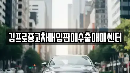 경기 광주시 남한산성면 중고차매입 전문 김프로중고차매입판매수출매매센터