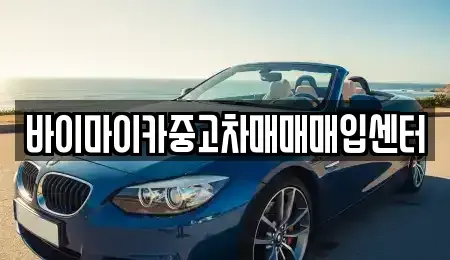 경기 시흥시 매화동 중고차매매 전문 바이마이카중고차매매매입센터