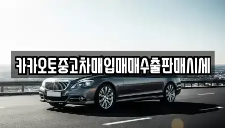경기 시흥시 매화동 중고차매매 전문 카카오토중고차매입매매수출판매시세