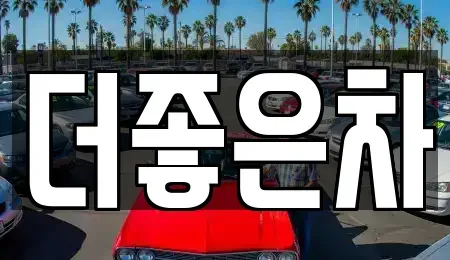 경기 양주시 백석읍 중고차매매 전문 더좋은차