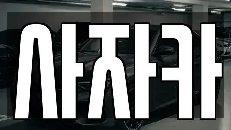 경기 양주시 백석읍 중고차매입 전문 사자카