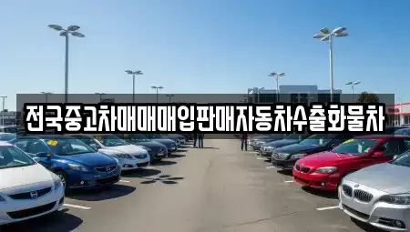 경기 양주시 백석읍 중고차매입 전문 전국중고차매매매입판매자동차수출화물차