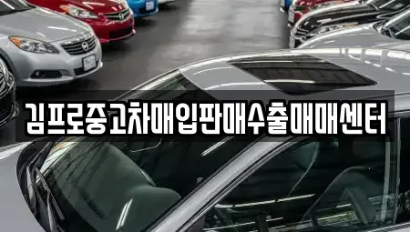 경기 화성시 중동 중고차매입 전문 김프로중고차매입판매수출매매센터