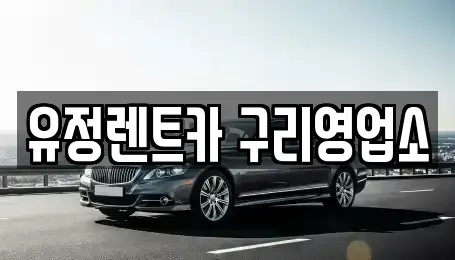 경기도 남양주시 도농동 렌트카 전문 유정렌트카 구리영업소