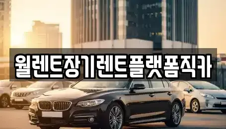 경기도 남양주시 도농동 장기렌트카 전문 월렌트장기렌트플랫폼직카