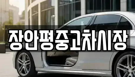 경기도 남양주시 도농동 중고차 전문 장안평중고차시장