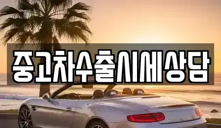 경기도 남양주시 도농동 중고차 전문 중고차수출시세상담