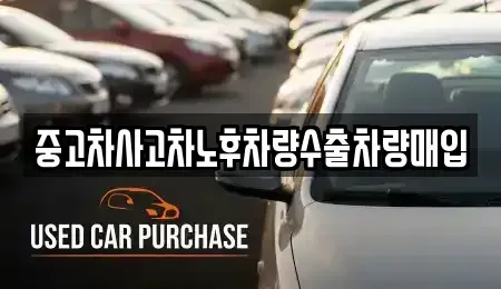 경기도 남양주시 도농동 중고차매입 전문 중고차사고차노후차량수출차량매입