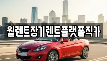 경기도 수원시 팔달구 화서동 장기렌트카 전문 월렌트장기렌트플랫폼직카