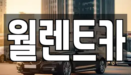 경기도 안성시 죽산면 렌트카 전문 월렌트카