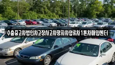 경기도 안성시 죽산면 중고차 전문 수출중고차법인차고장사고차망자차압류차1톤차매입센터
