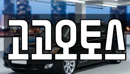 경기도 의왕시 이동 렌트카 전문 고고오토스