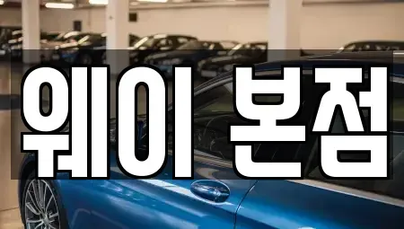 경기도 의왕시 이동 렌트카 전문 웨이 본점